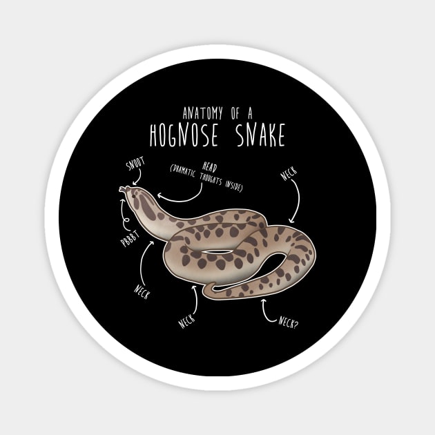 Conda Hognose Snake Anatomy Anaconda Magnet by Psitta